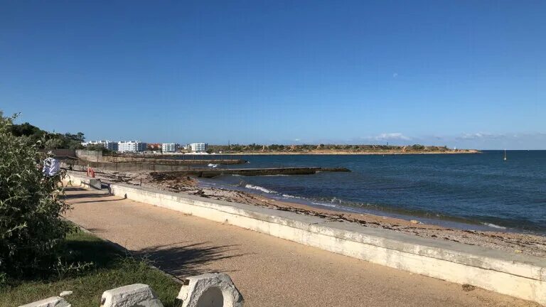 Пляж севастополь гагаринский муниципальный округ фото Beach, beach, Sevastopol, mys Peschany - Yandex Maps