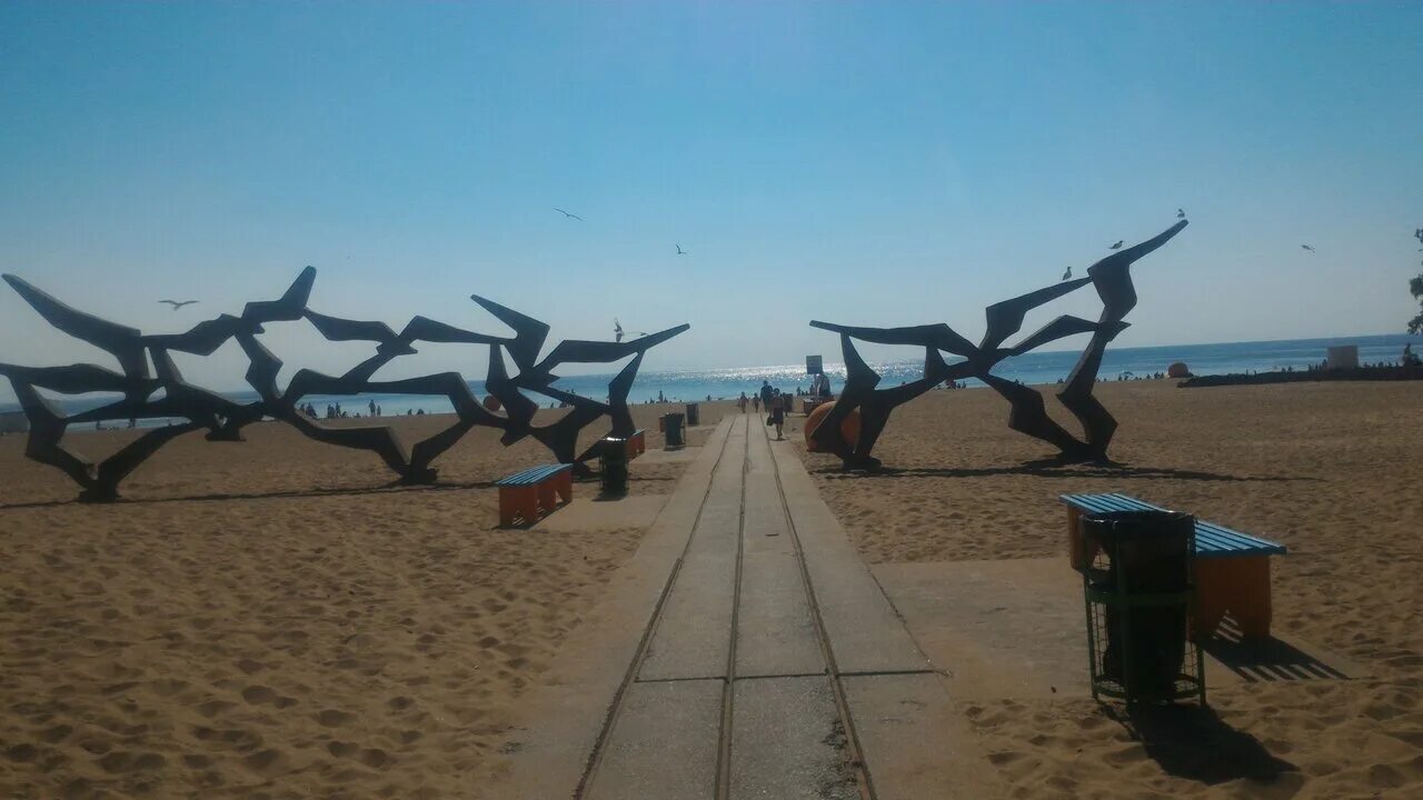 Пляж солнечный санкт петербург фото Beach, beach, Russia, Saint Petersburg - Yandex Maps