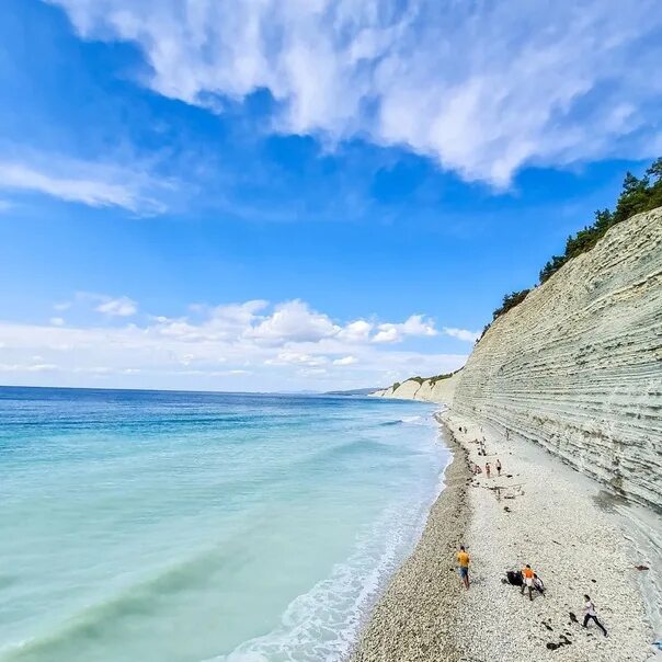 Пляж сосновка геленджик фото Wild Beach Pines ❤ Gelendzhik 2022 Геленджик VK