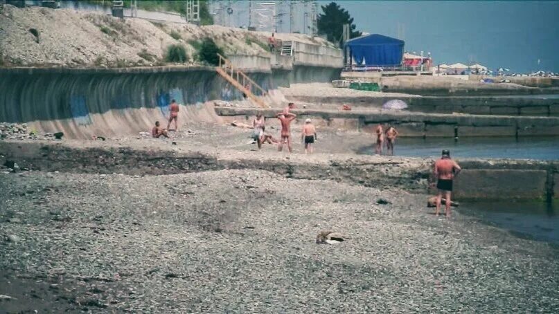 Пляж спутнике фото Дикие пляжи Сочи. ТамБуду Дзен