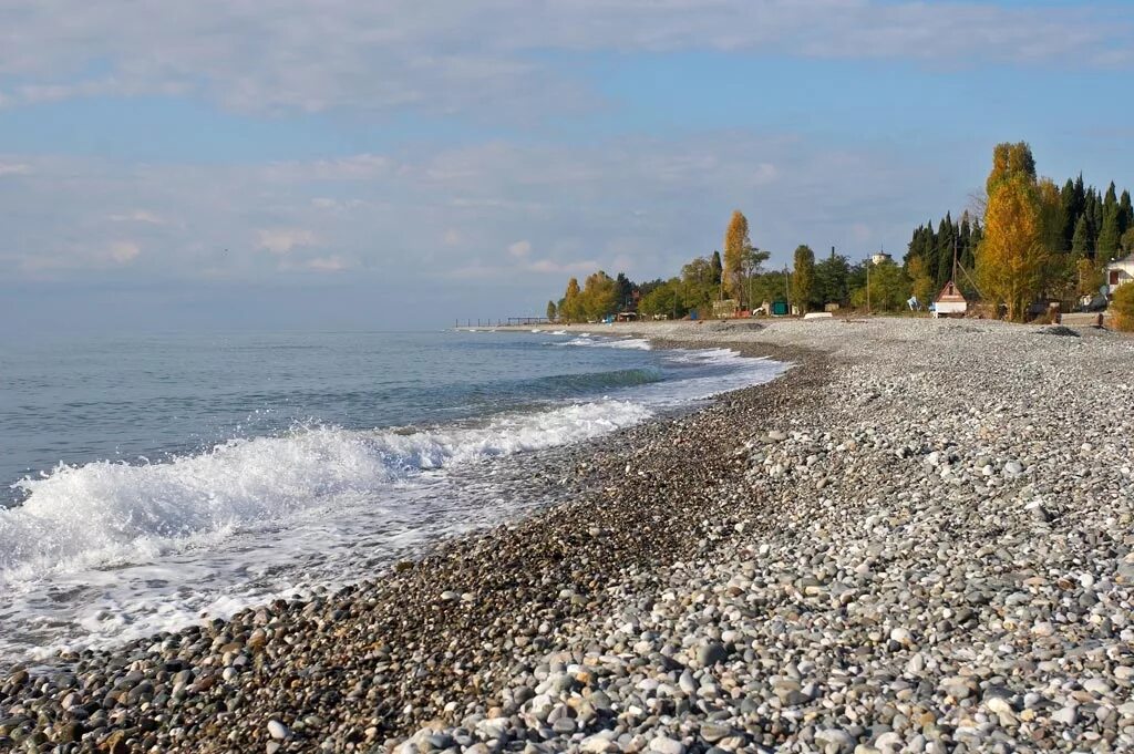 Пляж цандрипш фото Отдых в Цандрипше (Абхазия, Гагрский район, поселок Цандрыпш) 2024 - цены на отд