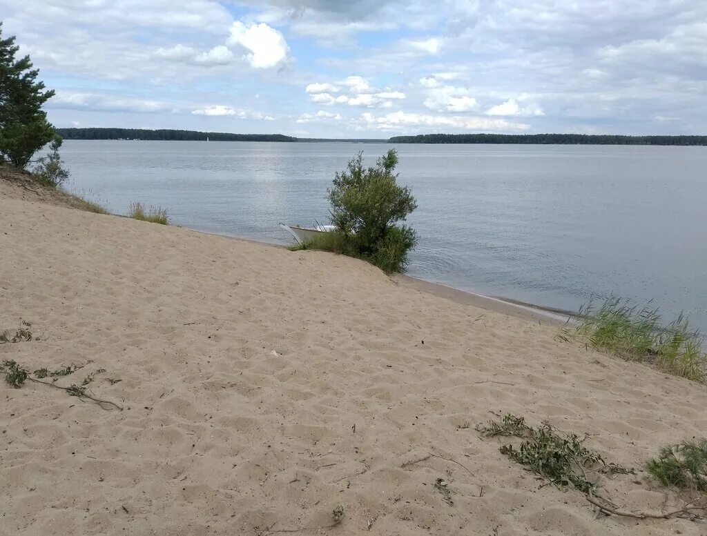 Пляж тверская область конаково фото Временно не работает: Пляж, пляж, Тверская область, Конаковский район, остров Ух