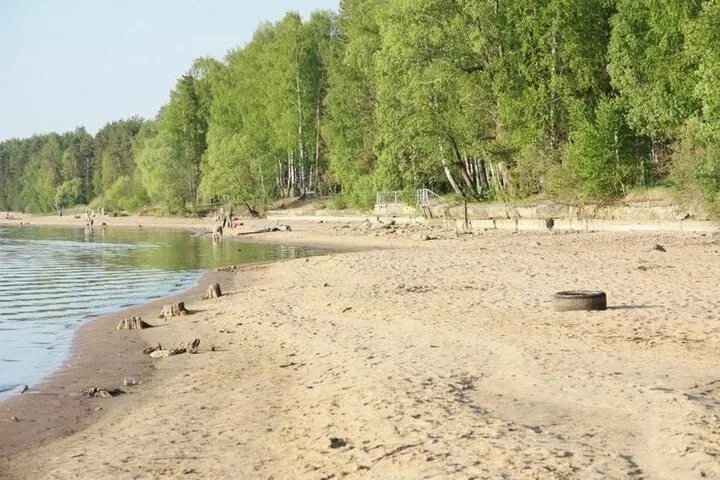 Пляж тверская область конаково фото В Тверской области пройдёт субботник на берегу Иваньковского водохранилища - МК 