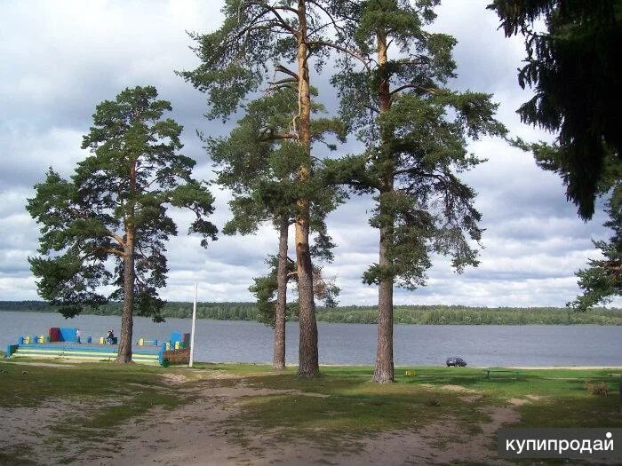 Пляж тверская область конаково фото 3-к квартира, 76 м2, 1/5 эт. в Конакове