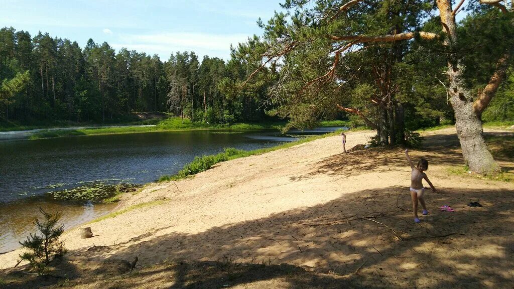 Пляж тверская область конаково фото Пляж, beach, Tver Region, Kashinskiy gorodskoy okrug - Yandex Maps
