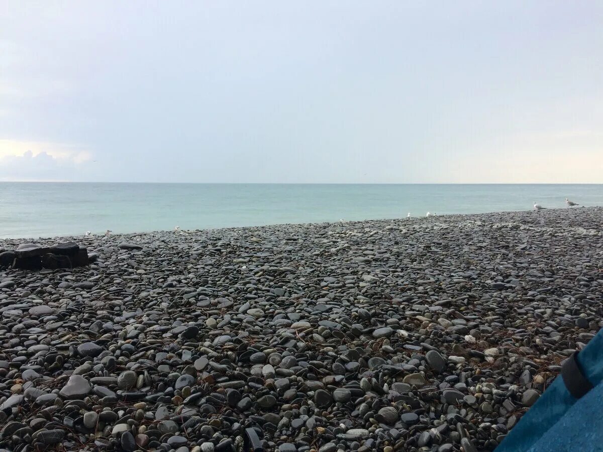 Пляж уч дере сочи фото Отдых дикарем на Черном море в Уч-Дере. 3 день. Ночной десант сектантов и захват