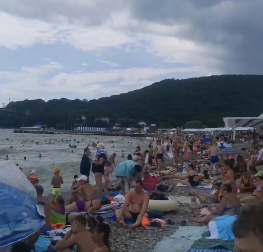 Пляж в архипо фото Туристы заполонили пляж в Архипо-Осиповке: видео Путешествия Селдон Новости