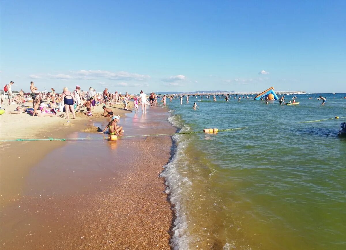 Пляж витязево фото Водоросли, которые так огорчают туристов в Анапе, полезны для кожи Тафье Лайф Дз