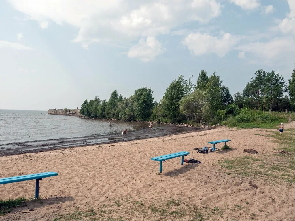 Пляж вологда фото Пляж, beach, Russia, Vologda Region, Vashkinskiy rayon - Yandex Maps