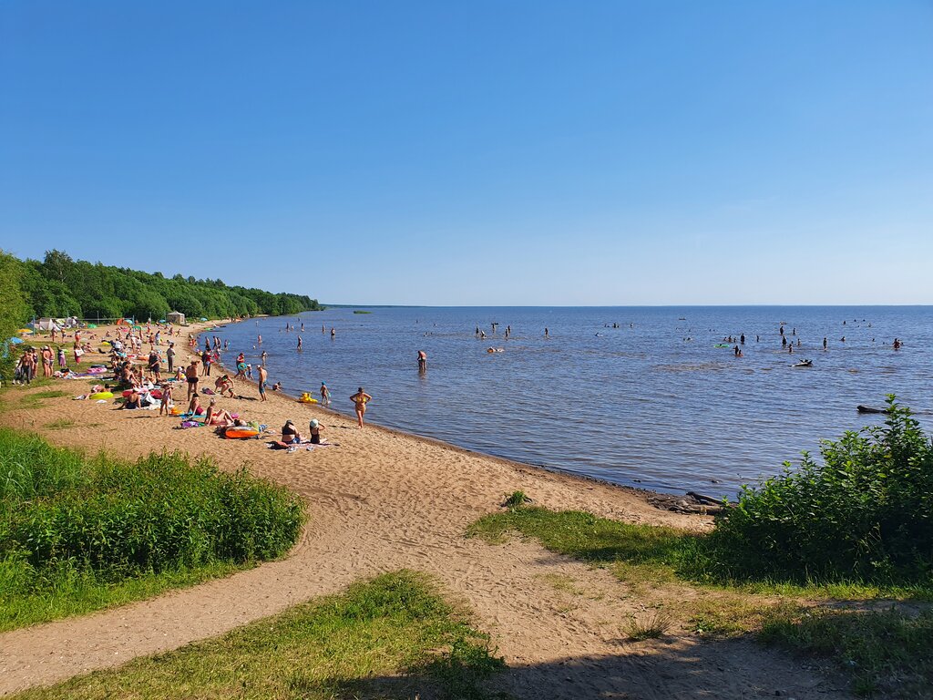 Пляж вологда фото Пляж, beach, Vologda Region, Vashkinskiy munitsipalny okrug, selskoye poseleniye