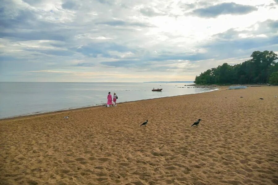 Пляж зеленогорска фото Золотой пляж в Зеленогорске (Ленинградская область) - можно ли купаться, как доб