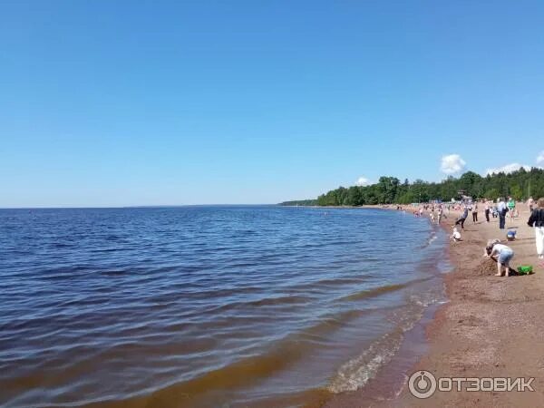 Пляж зеленогорска фото Отзыв о Золотой пляж (Россия, Зеленогорск) Жемчужина Курортного района