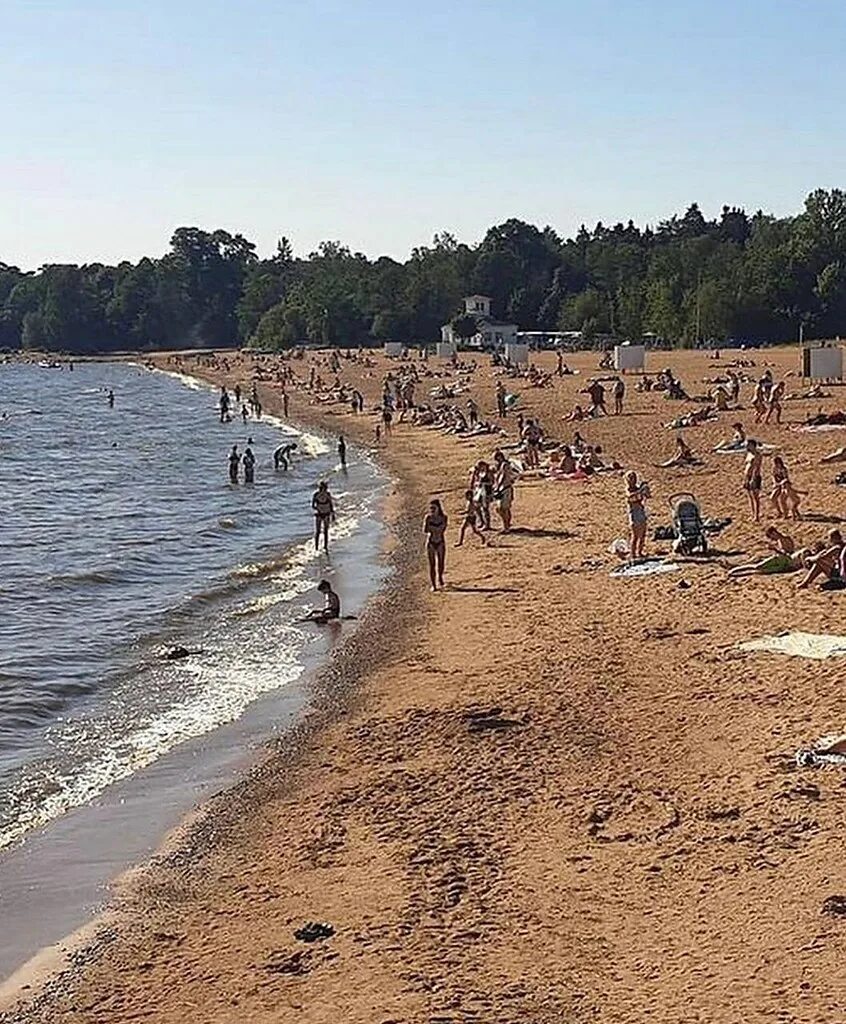 Пляж зеленогорска фото Золотой пляж в Зеленогорске Интересные события в Санкт-Петербурге Фотострана Пос