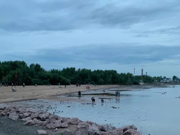 Пляж жемчужный санкт петербург фото Петербуржцы жалуются на огромную свалку у Жемчужного пляжа Общество Селдон Новос
