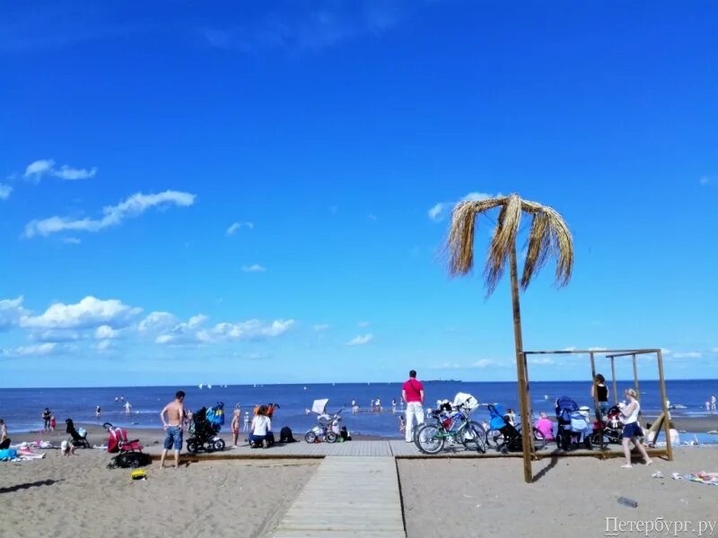 Пляж жемчужный санкт петербург фото Загореть в Петербурге: городские пляжи для отличного отдыха