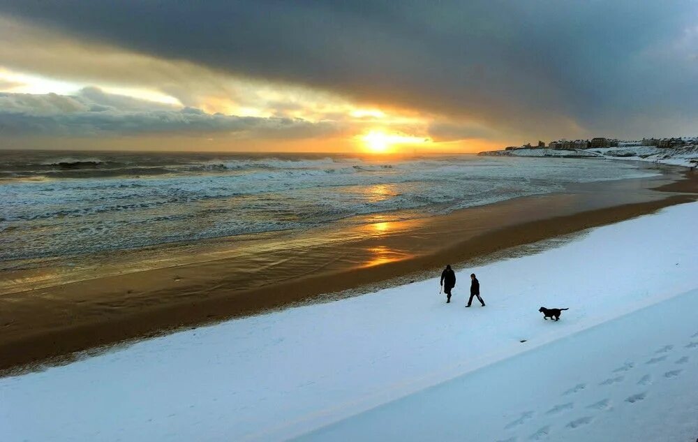Пляж зимой фото Утренние гуляки с собакой на пляже в Англии. Winter beach, Seaside holidays, Bea