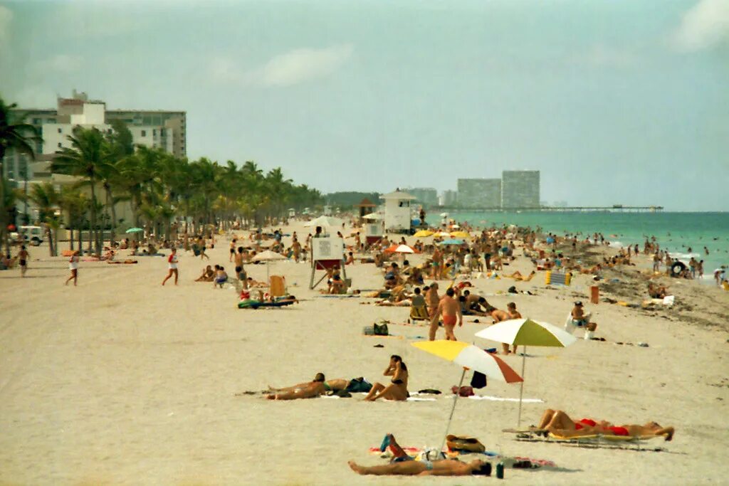Пляжи 80 фото Hollywood Beach, Florida, 1984 View looking north toward D. Flickr
