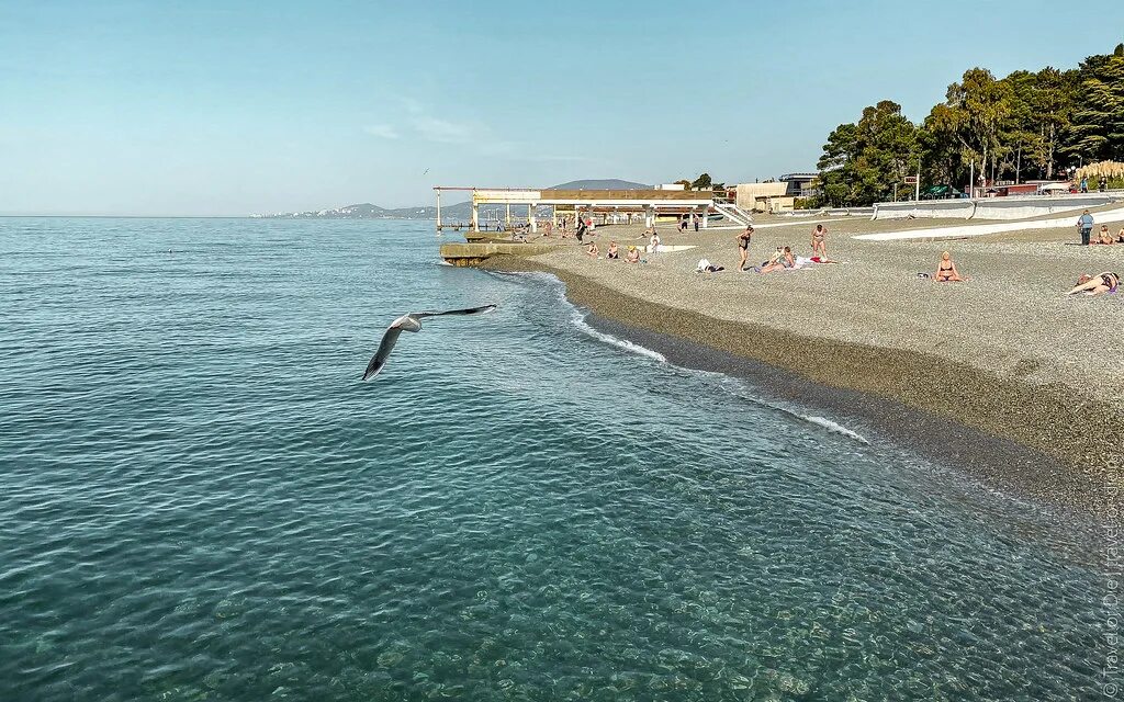 Пляжи адлера фото отзывы Adler-Beaches-iphone-0834 Travel-or-Die.ru Flickr