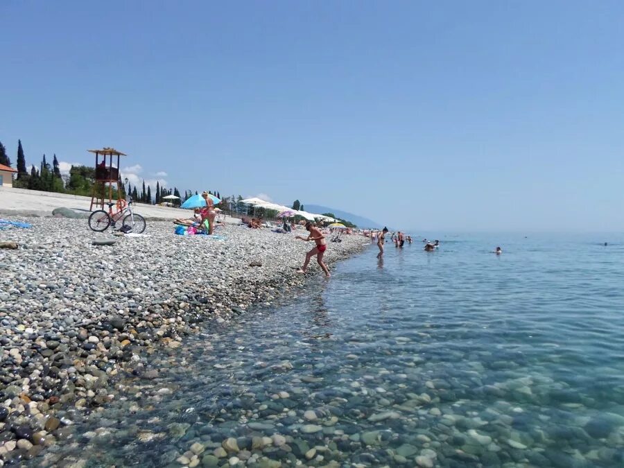 Пляжи адлера фото отзывы Море и пляж - Клинический санаторий "Металлург" Сочи Сочи (курорт) Центральный р