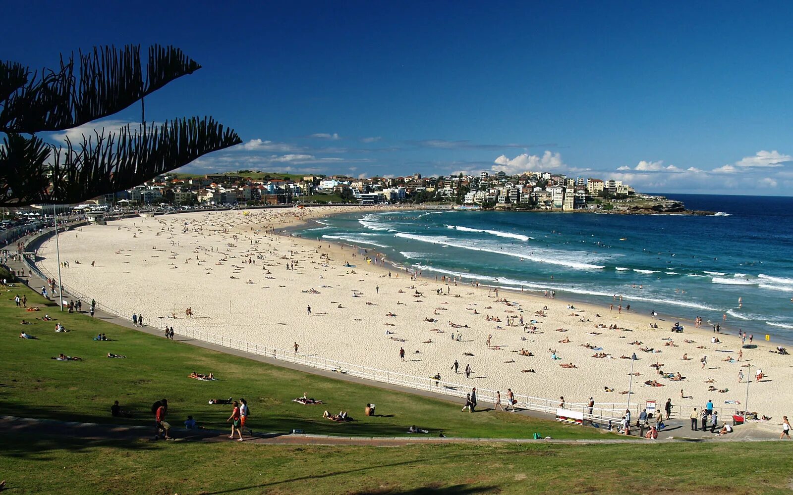 Пляжи австралии фото The 25+ Best Beaches in Sydney // World Beach Guide