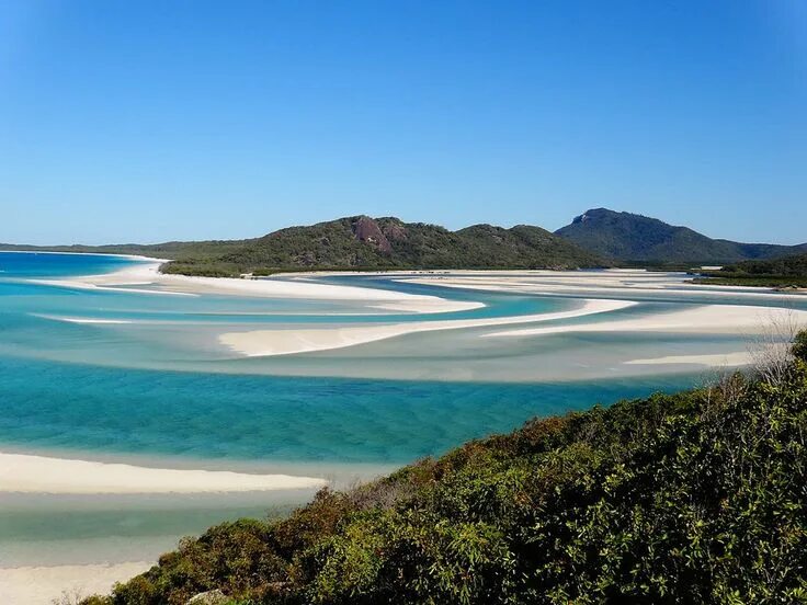 Пляжи австралии фото Уайтхейвен-Бич: один из лучших пляжей Австралии Airlie beach, Australia travel, 