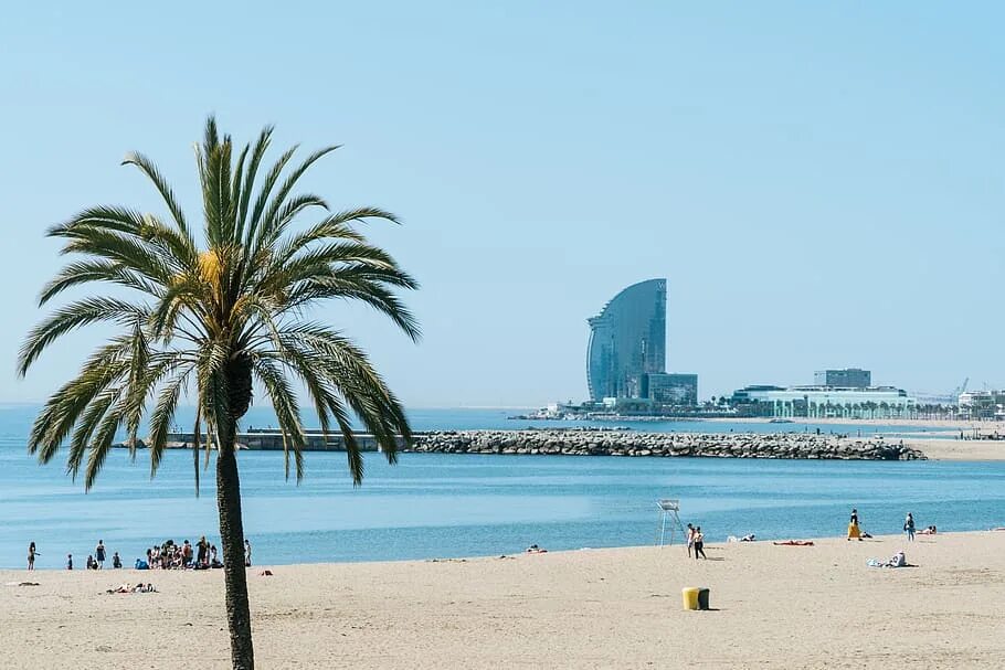 Пляжи барселоны фото Barcelona Neighbourhoods information: Discover Barceloneta