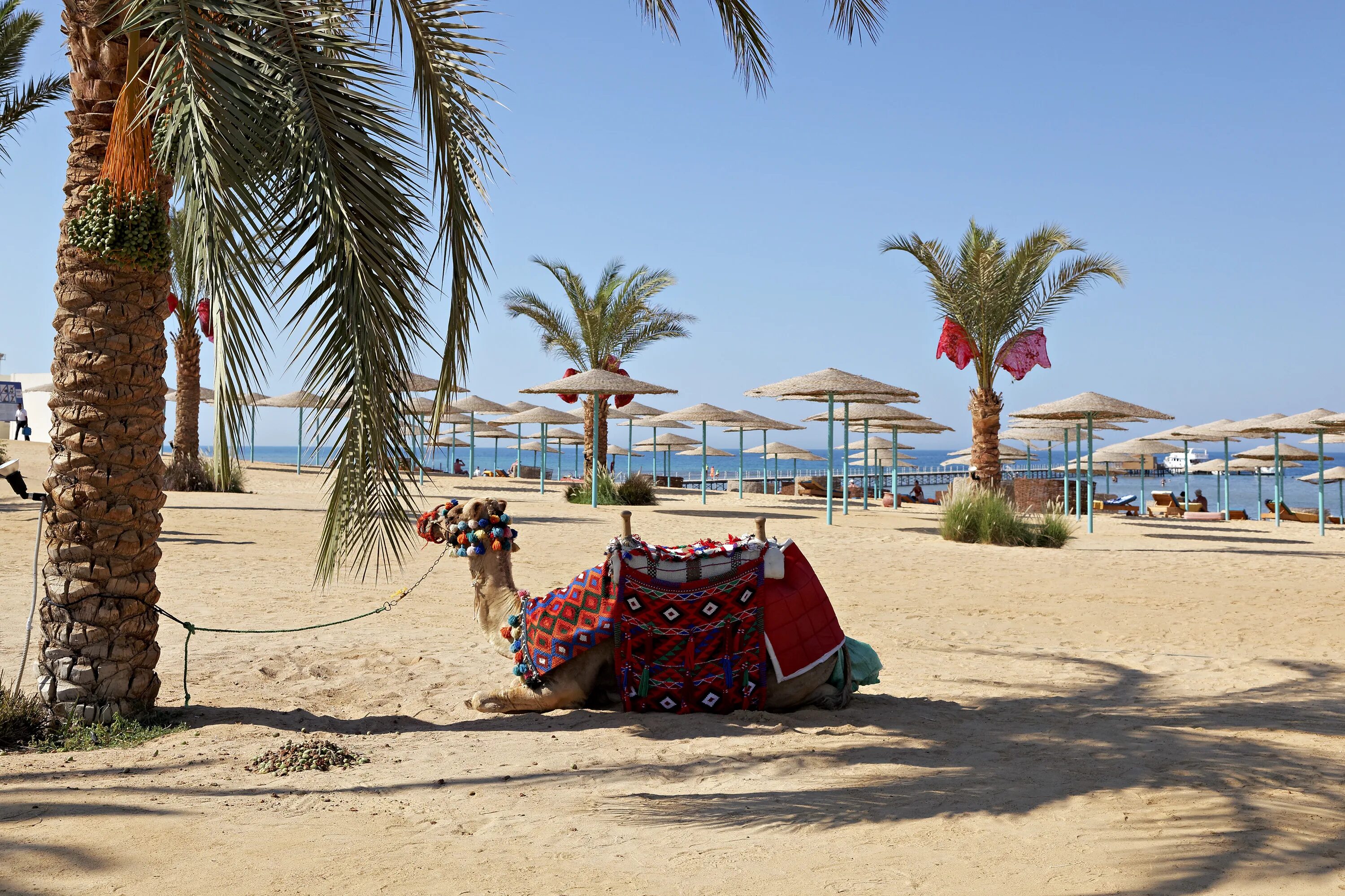Пляжи египта хургада фото Three Corners Sunny Beach Resort 4* - Египет, Хургада - Отели Пегас Туристик
