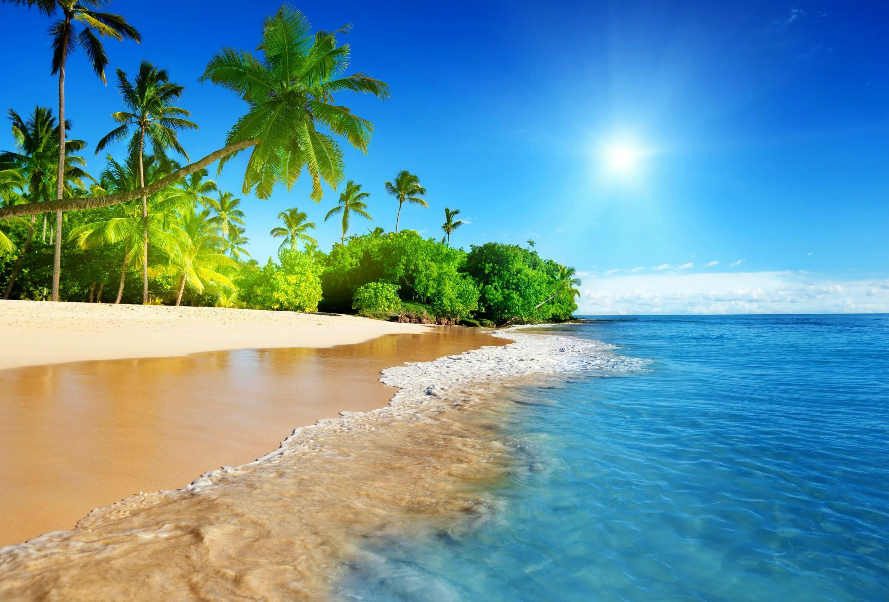 Пляжи фото картинки Awesome Wallpapers - wallhaven.cc Led tv, Tropical paradise beach, Led