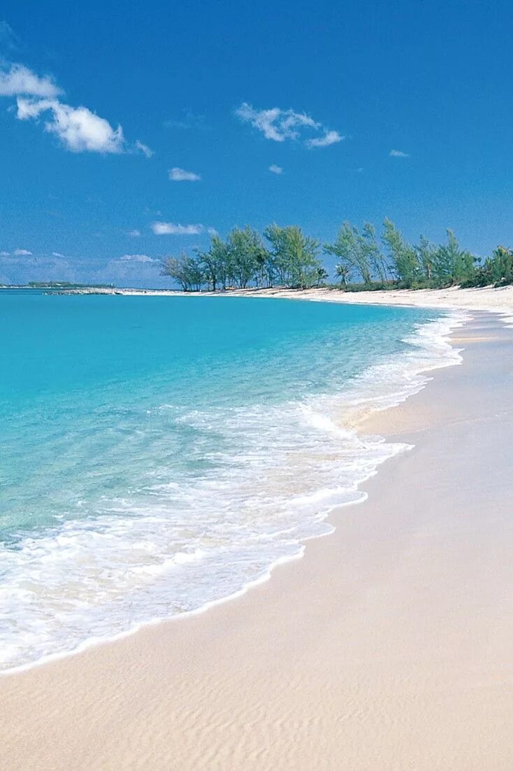 Пляжи фото с описанием Ocean Club's stretch of white-sand Cabbage Beach is always blissfully crowd-free