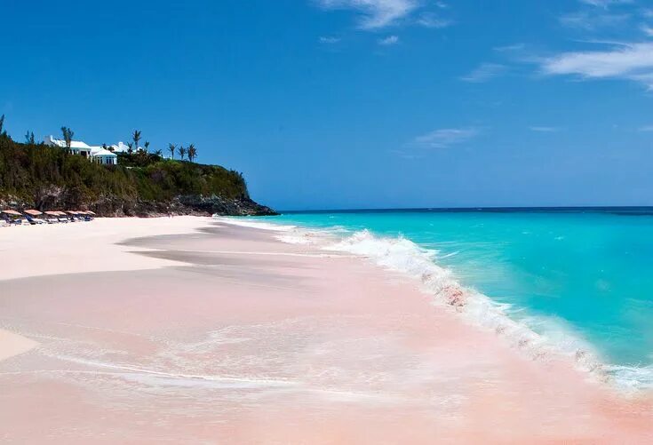 Пляжи фото с описанием Tucker’s Point " Green Globe Travel Pink sand beach, Pink sand beach bahamas, Be