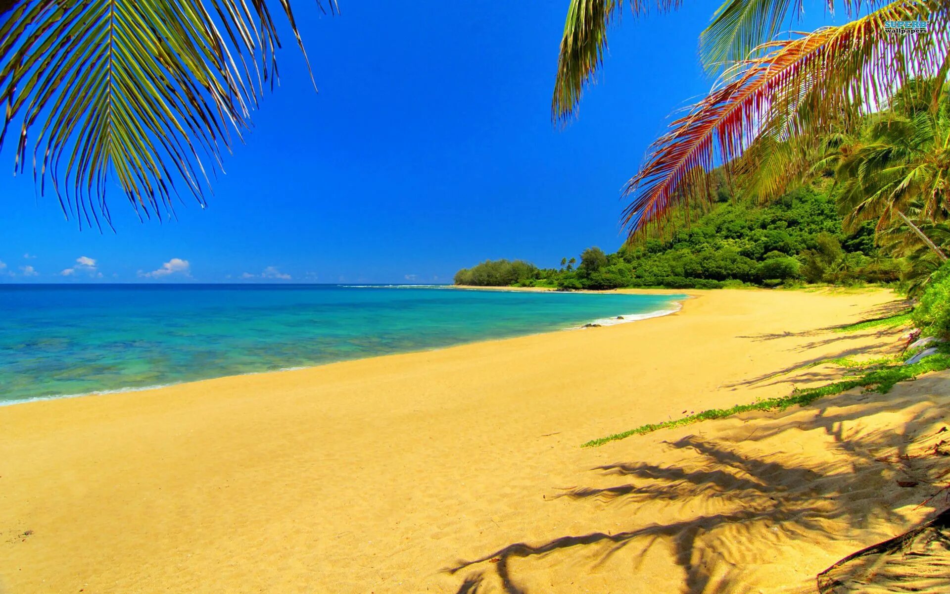 Пляжи фото смотреть онлайн бесплатно California beach wallpaper HD free download. Beach scene wallpaper, Beach wallpa