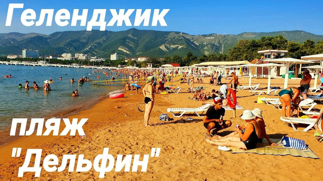 Пляжи геленджика фото с описанием Геленджик пляж "Дельфин" Обзор и Цены август 2021 - YouTube