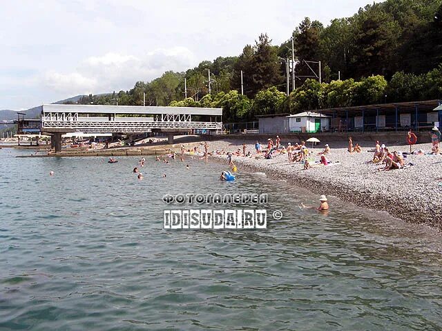 Пляжи кудепсты фото Фотографии санатория "Кудепста" в Кудепсте, Сухумское шоссе 33