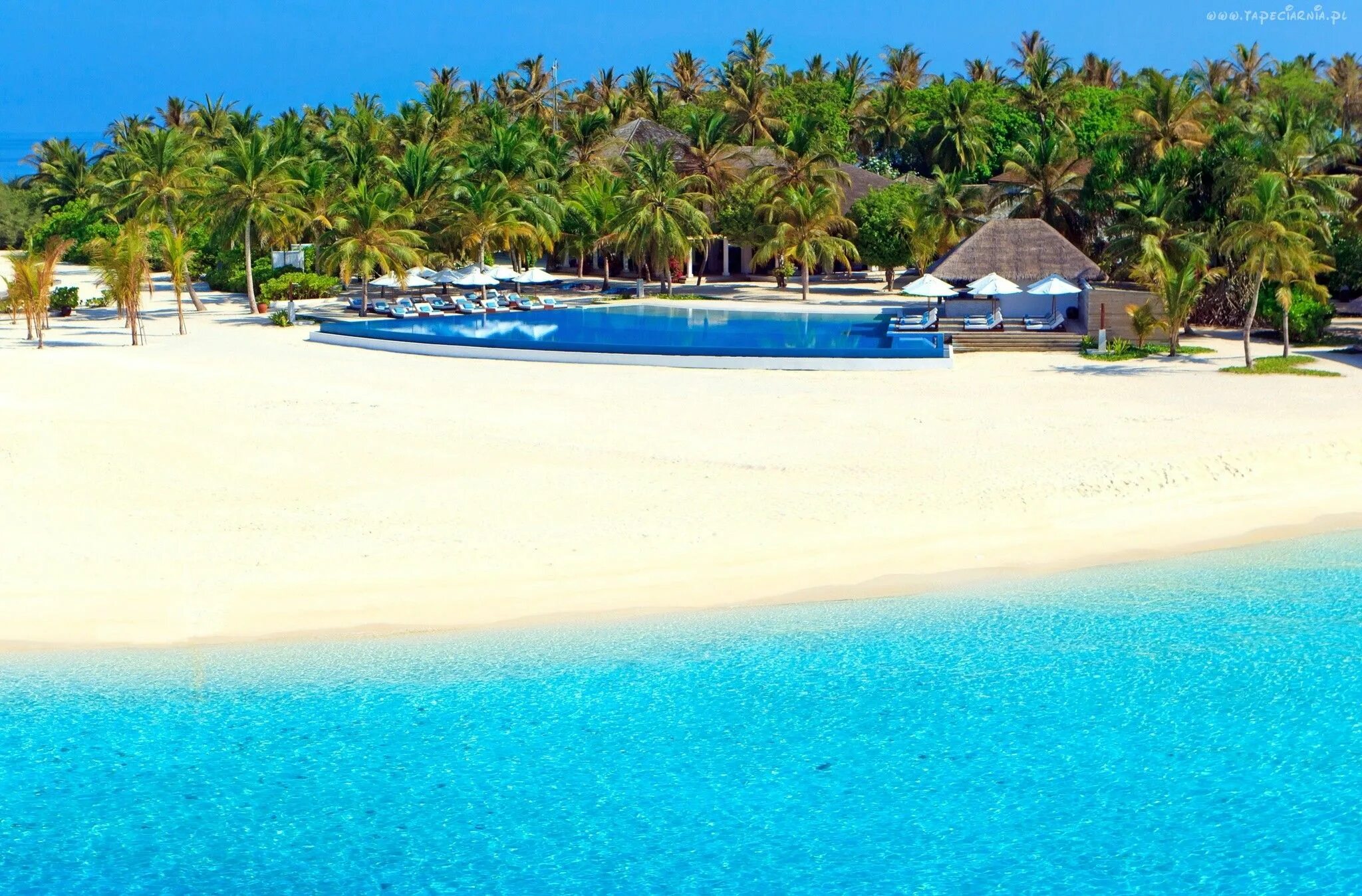 Пляжи курорты фото Malediwy, Ocean, Plaża, Palmy, Kurort, Velassaru, Basen Malediven