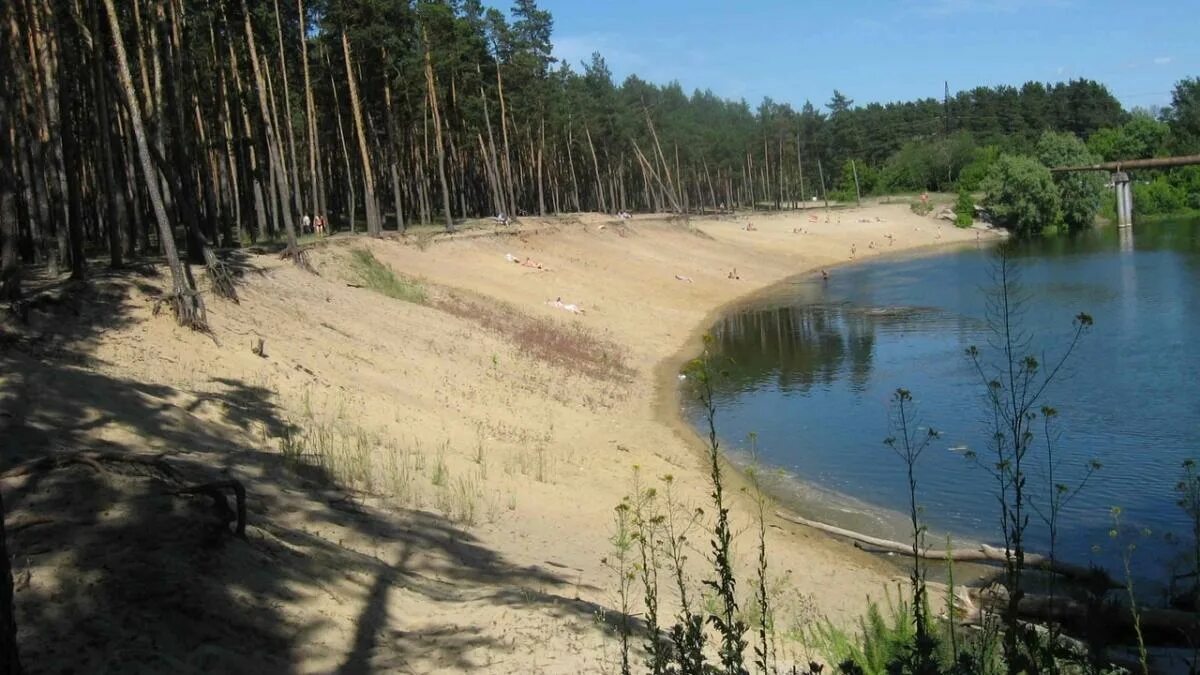 Пляжи курска фото Куряне убрали от мусора Суворовский пляж ГТРК "Курск" - Новости Курска и Курской
