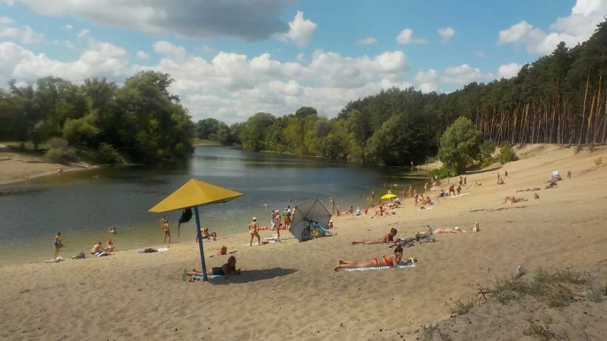 Пляжи курска фото В Курске с начала купального сезона наказали 200 человек ГТРК "Курск" - Новости 