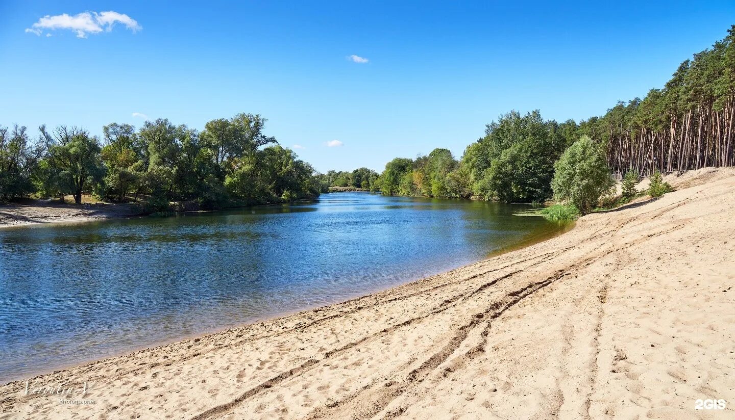 Пляжи курска фото Суворовский пляж курск - Суворовский пляж, Курск - 2ГИС. tre-i-dnr.ru