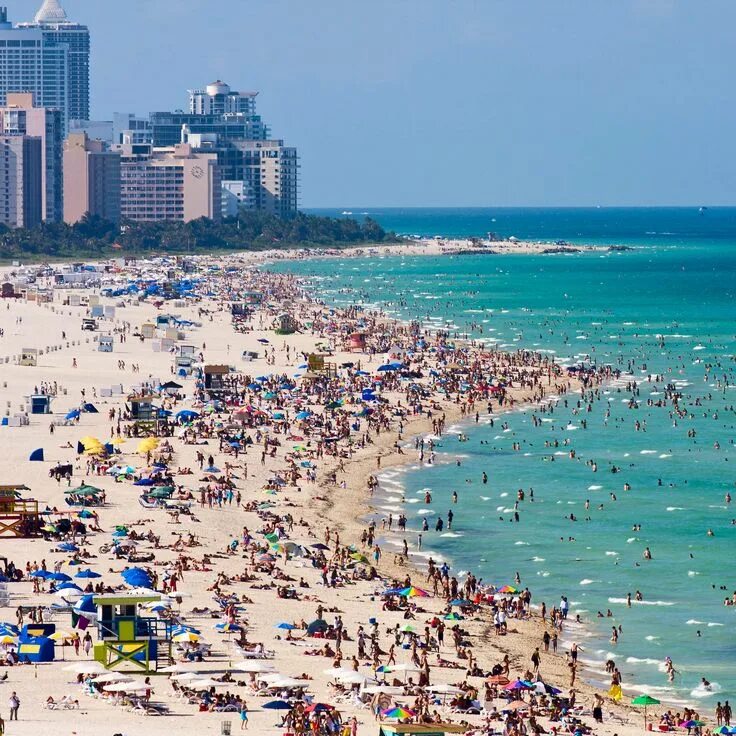 Пляжи майами фото The 17 All-Time Greatest Things to Do in Miami South beach miami, Florida beache