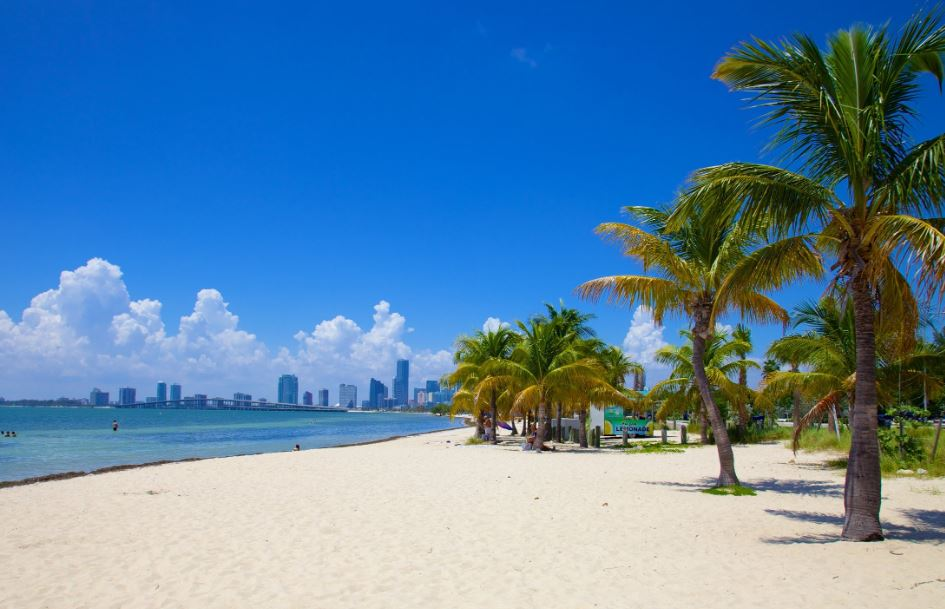 Пляжи майами фото Beaches in Miami Best beaches to visit, Beach, Miami beach travel