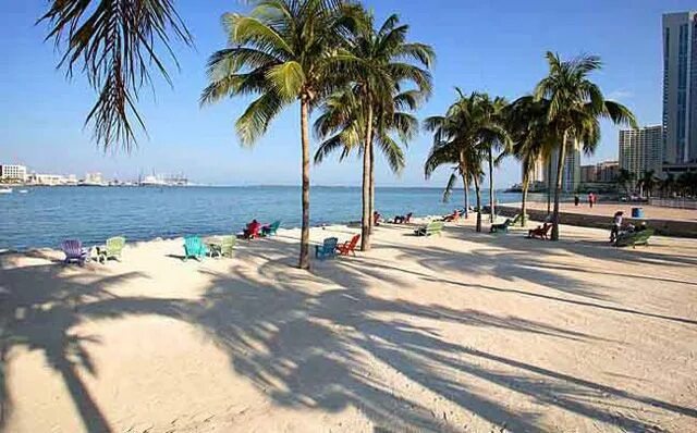 Пляжи майами фото Virginia Key Beach, Miami Florida beaches, Dream vacations, Places to travel