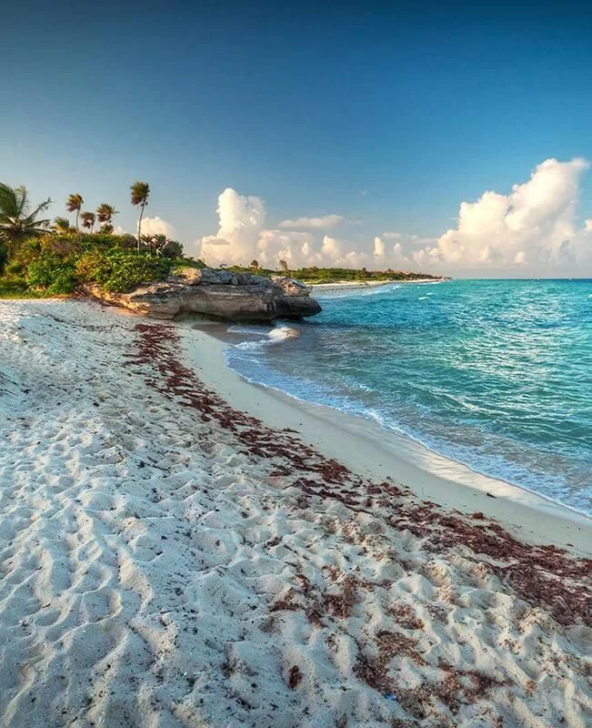 Пляжи мексики фото Playa del Carmen Mexico - Hotels Discounts Playas mexico, Playas hermosas, Playa