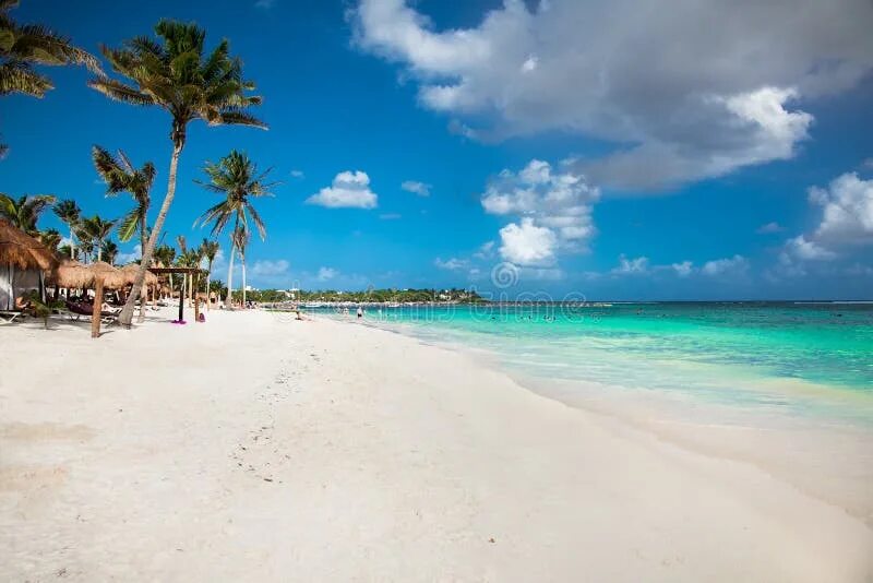 Пляжи мексики фото Beautiful White Sand Beach in Akumal, Mexico. Stock Photo - Image of blue, shore