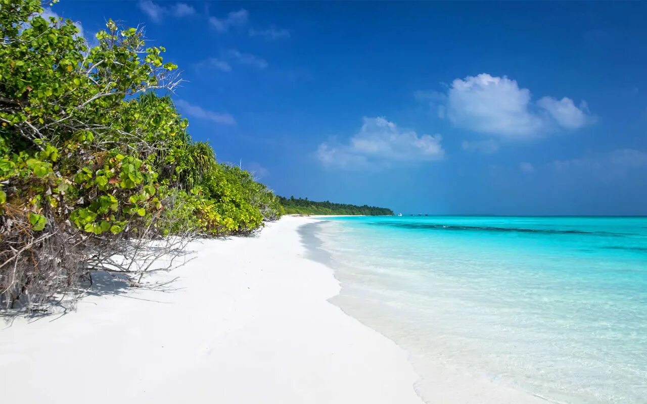 Пляжи мира фото Five fun and frolic things to do in Maldives - DadLife Magazine