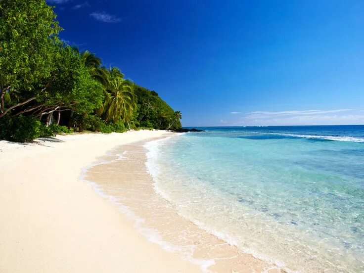 Пляжи мира фото Top 10 Honeymoon Destinations for Any Couple Fiji honeymoon, Best honeymoon dest