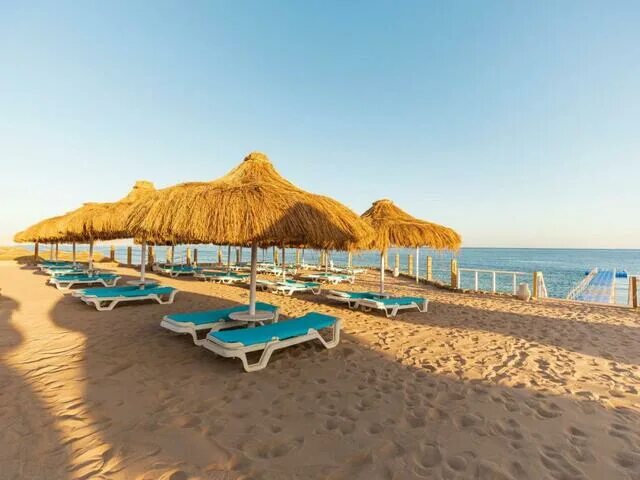 Пляжи отелей египта фото Туры в отель Sunrise Remal Resort 4*, Египет, Шарм-Эль-Шейх - цены и отзывы 2024