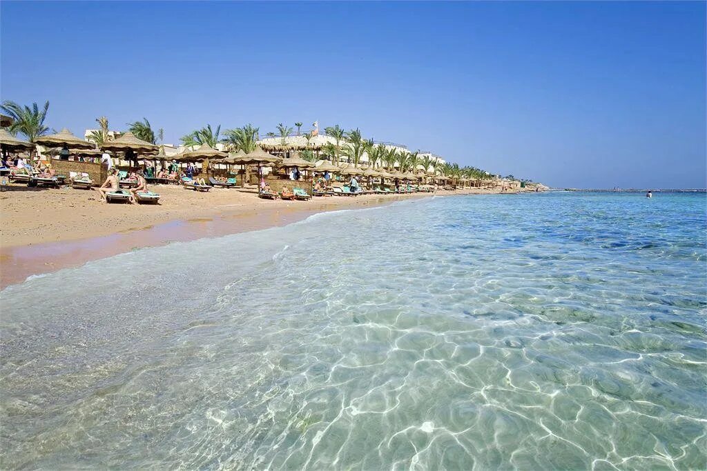 Пляжи отелей египта фото Туры в отель TAMRA BEACH RESORT, Шарм-Эль-Шейх (Египет)