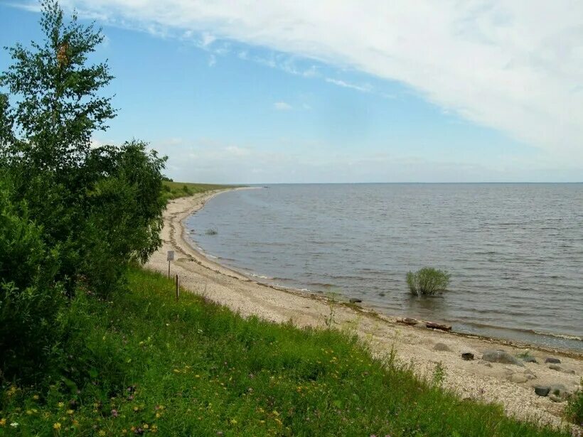 Пляжи озера ильмень у великого новгорода фото Ильмень озеро в Нижнем Новогоде 2024