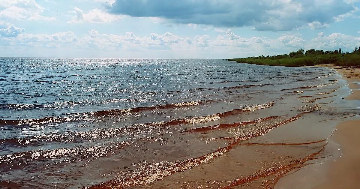 Пляжи озера ильмень у великого новгорода фото Великое озеро всех славян Ильмень скоро исчезнет с лица земли