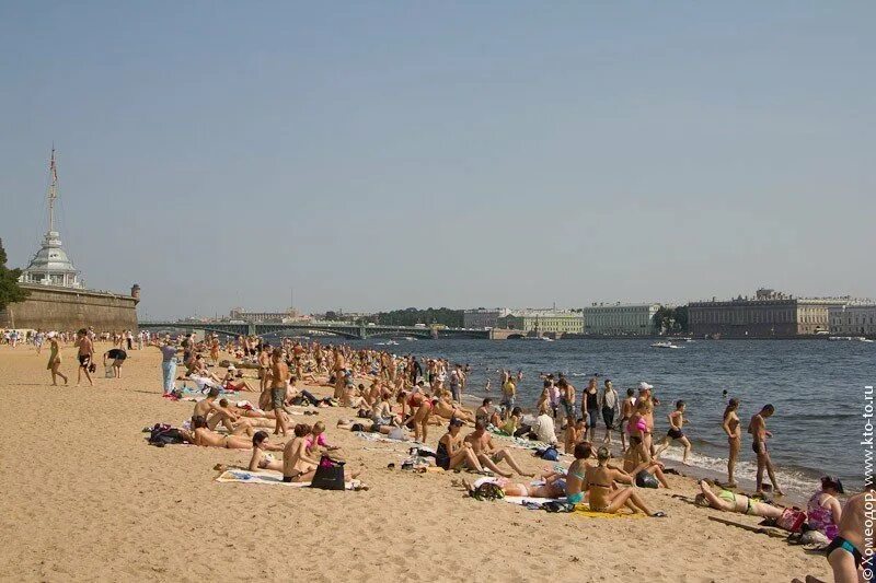 Пляжи петербурга фото В Петроградском районе к лету готовят три пляжа Blog Fiesta