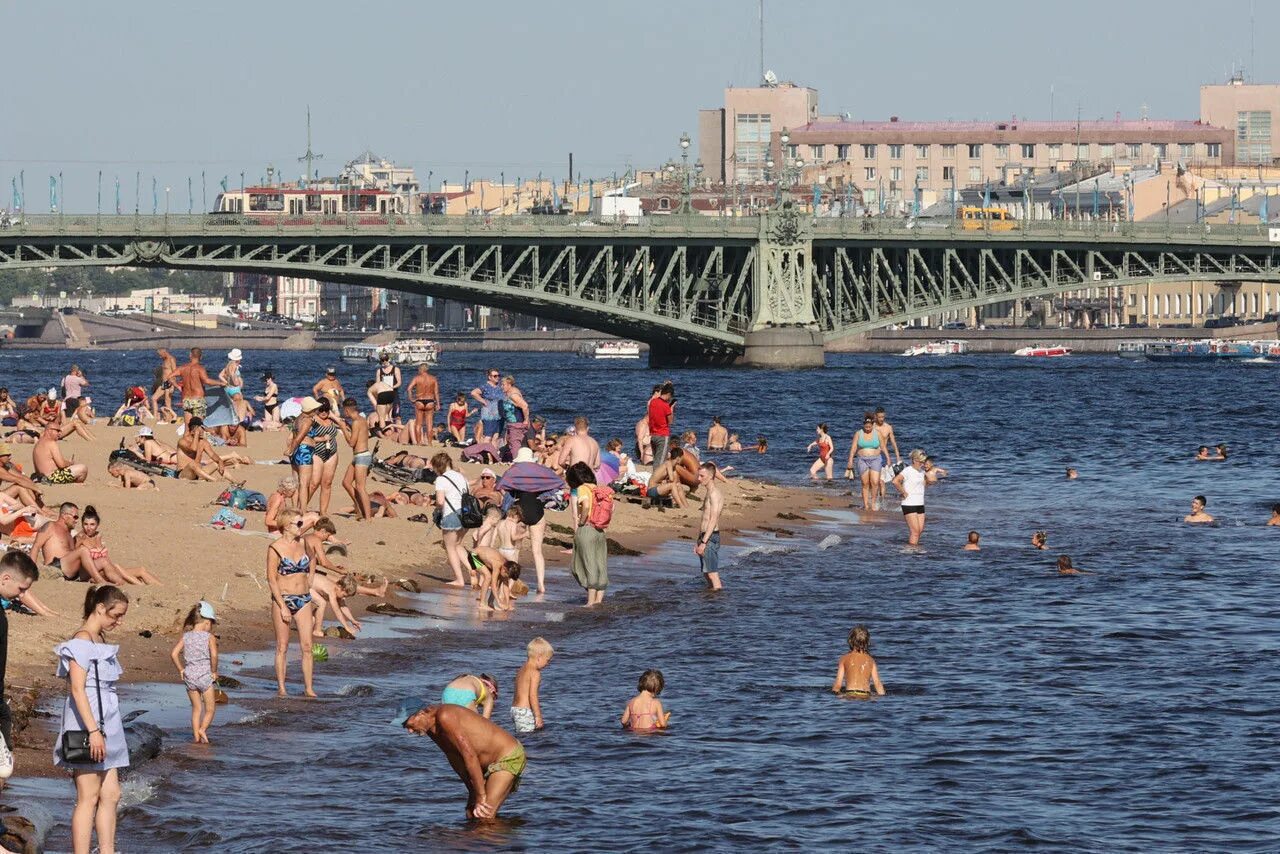 Пляжи петербурга фото Новая проверка, но прежний результат: в Петербурге безопасно купаться можно лишь